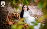 {ẢNH] Thiếu nữ Hà thành thướt tha áo dài bên đồi vải Lục Ngạn